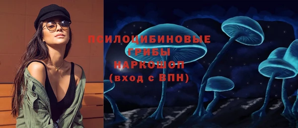 тгк Беломорск