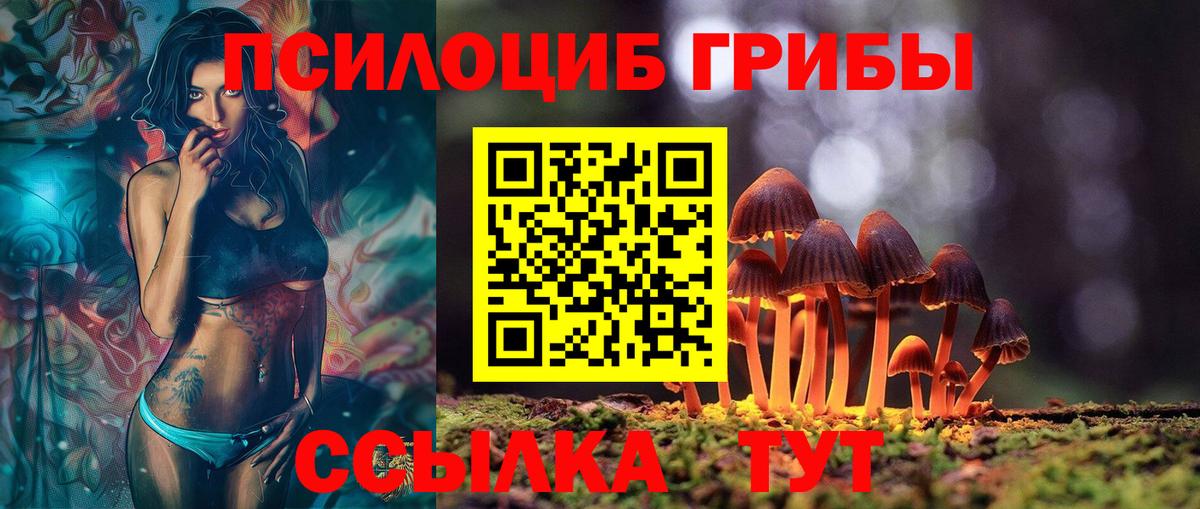 Галлюциногенные грибы Cubensis  Вход с VPN  Долгопрудный 
